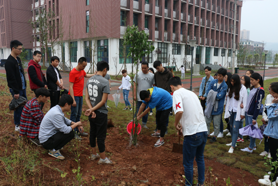 ˵: 1493346332757402.png