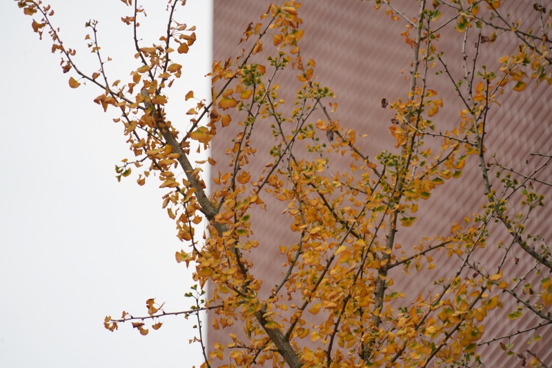 说明: https://www.cqzhxy.cn/SITE_ATTACHE/www_cqzhxy_cn/2024-10-30/upload/image/20241030/1730280780517007862.jpg