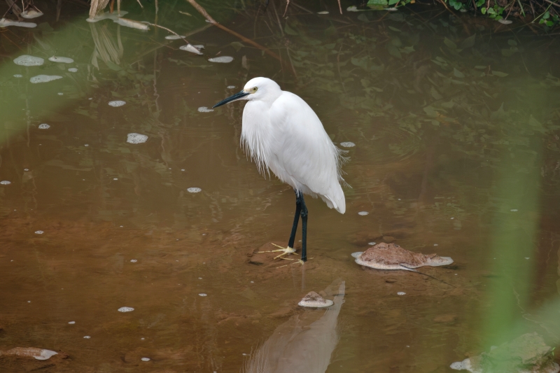 说明: https://www.cqzhxy.cn/SITE_ATTACHE/www_cqzhxy_cn/2024-10-30/upload/image/20241030/1730280806136094950.jpg