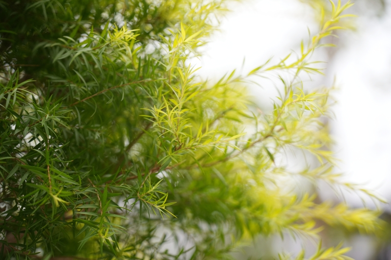 说明: https://www.cqzhxy.cn/SITE_ATTACHE/www_cqzhxy_cn/2024-10-30/upload/image/20241030/1730280778537083208.jpg