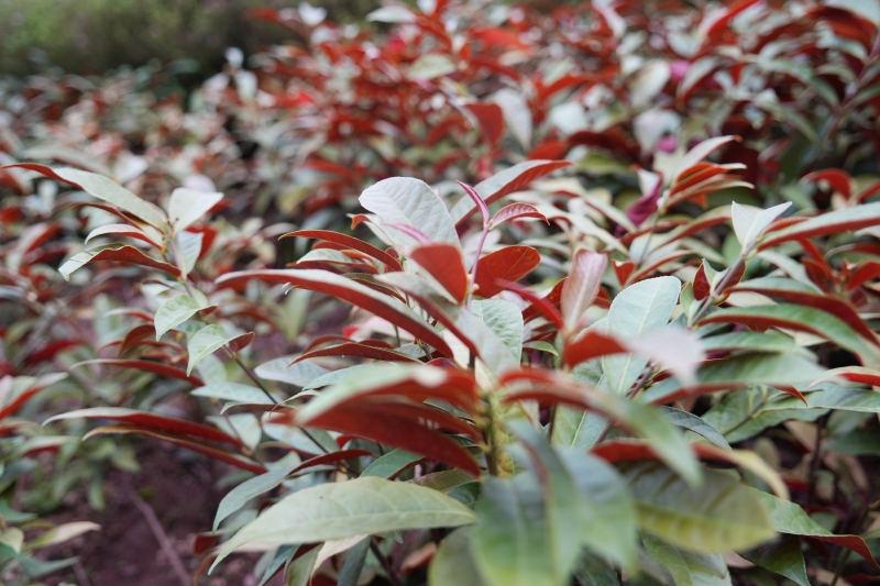 说明: https://www.cqzhxy.cn/SITE_ATTACHE/www_cqzhxy_cn/2024-10-30/upload/image/20241030/1730280779035057038.jpg