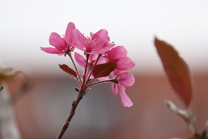 说明: https://www.cqzhxy.cn/SITE_ATTACHE/www_cqzhxy_cn/2024-10-30/upload/image/20241030/1730280834538024520.jpg