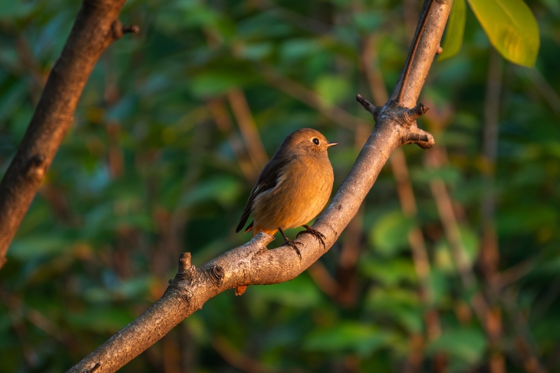 说明: https://www.cqzhxy.cn/SITE_ATTACHE/www_cqzhxy_cn/2024-10-30/upload/image/20241030/1730280806739077523.jpg