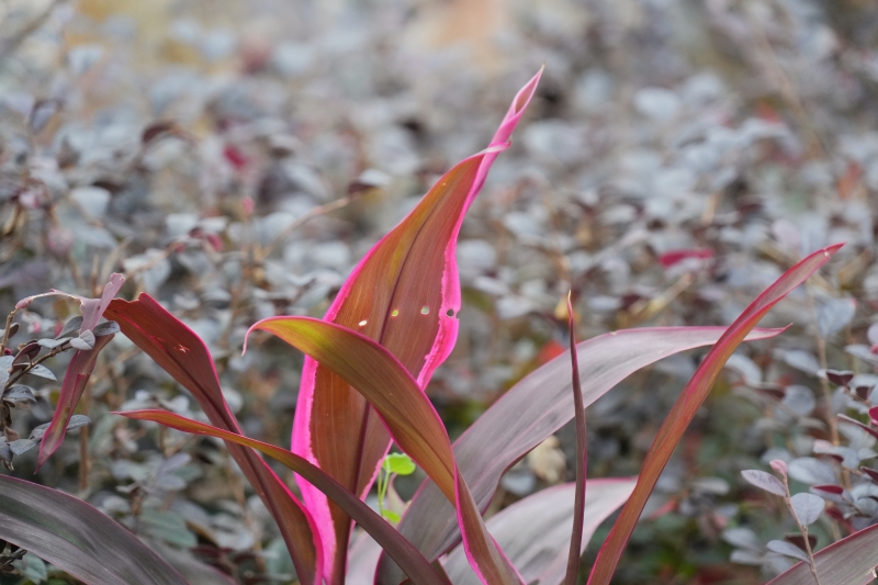 说明: https://www.cqzhxy.cn/SITE_ATTACHE/www_cqzhxy_cn/2024-10-30/upload/image/20241030/1730280832880076839.jpg