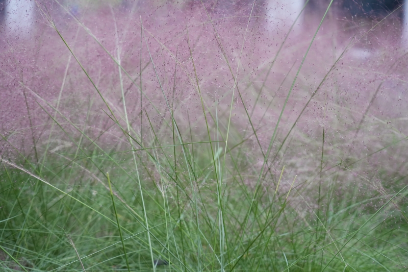 说明: https://www.cqzhxy.cn/SITE_ATTACHE/www_cqzhxy_cn/2024-10-30/upload/image/20241030/1730280832281015232.jpg