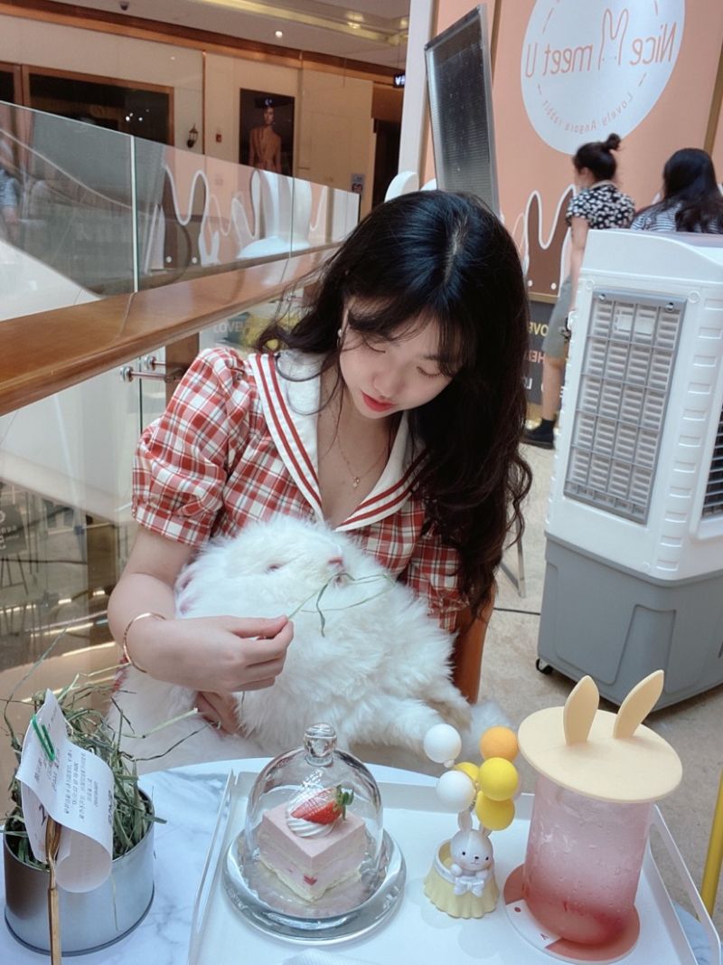 ˵: 2bcfe2dbcfa07b85c08cab2cd59bd68e.png