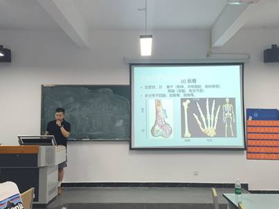 说明: 1725238916917032684.png