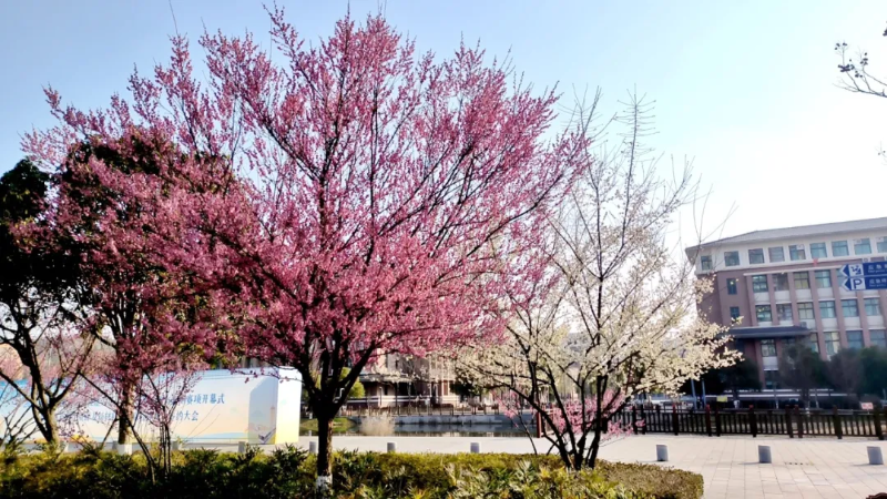 ˵: ΢ͼƬ_20250223094145.png