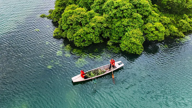 ˵: ΢ͼƬ_20250304100250.png