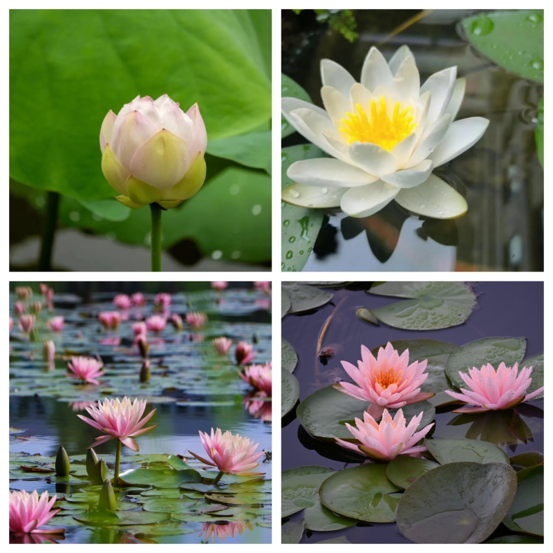 ˵: https://www.cqzhxy.cn/SITE_ATTACHE/www_cqzhxy_cn/2025-03-04/upload/image/20250304/1741052762274004013.jpg