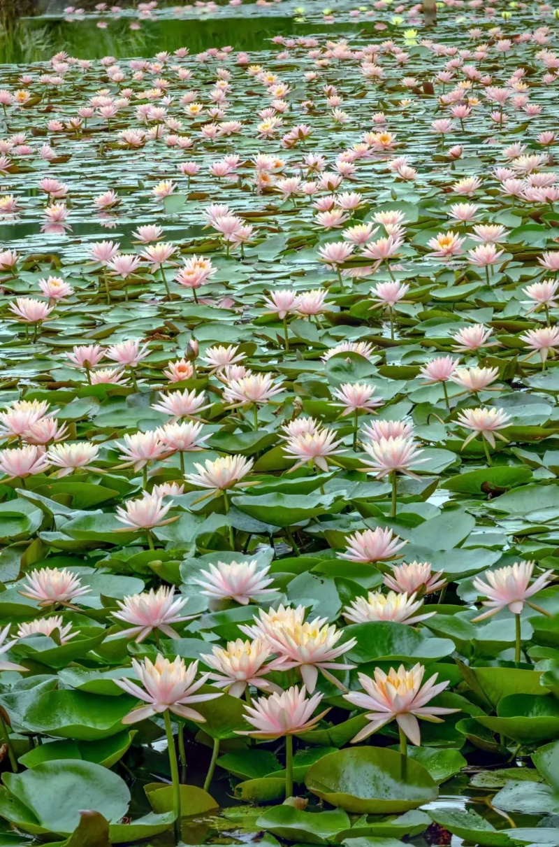 ˵: https://www.cqzhxy.cn/SITE_ATTACHE/www_cqzhxy_cn/2025-03-04/upload/image/20250304/1741052762660001870.png