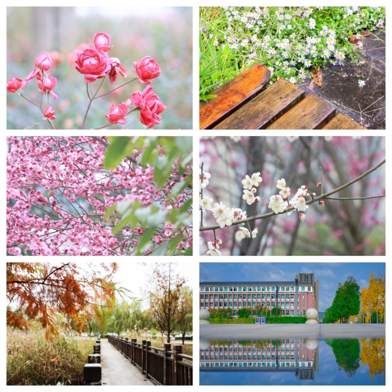 ˵: https://www.cqzhxy.cn/SITE_ATTACHE/www_cqzhxy_cn/2025-03-04/upload/image/20250304/1741052939039071560.jpg