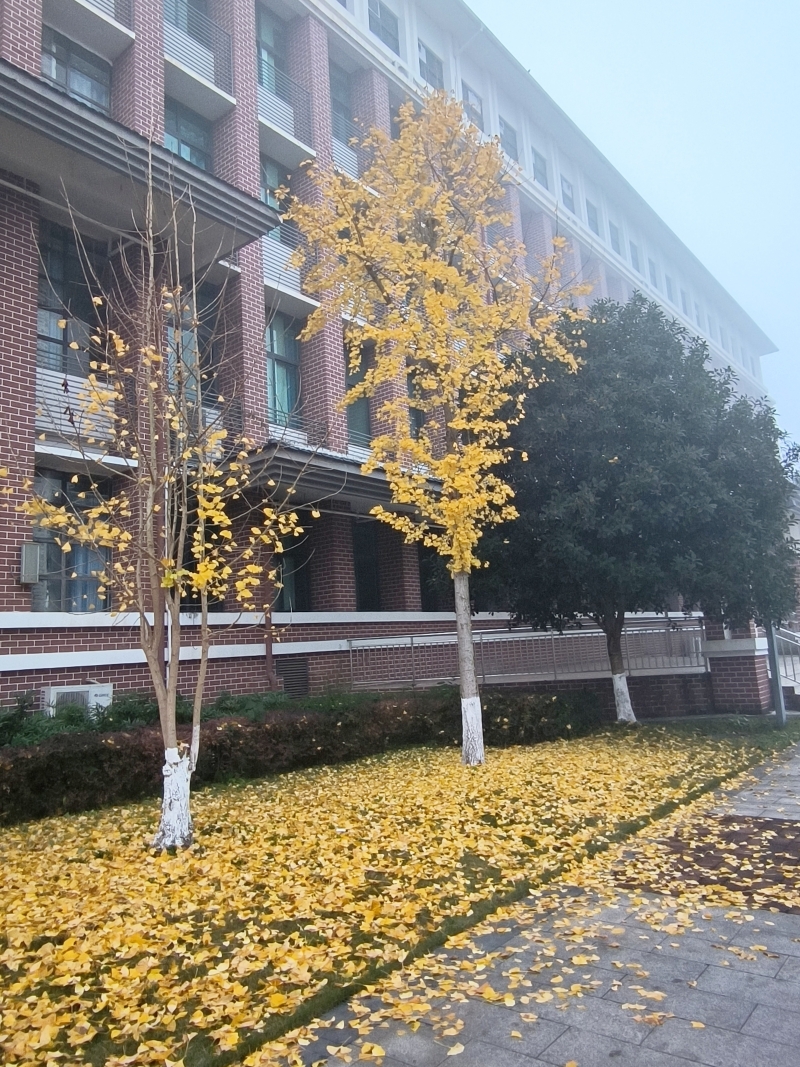 ˵: https://www.cqzhxy.cn/SITE_ATTACHE/www_cqzhxy_cn/2025-03-04/upload/image/20250304/1741052893159010552.jpg