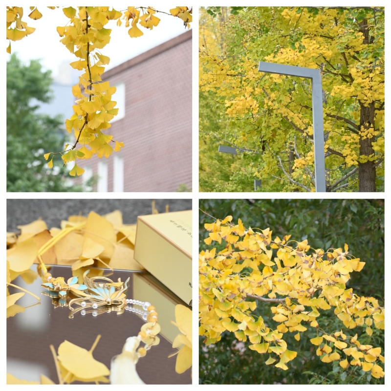 ˵: https://www.cqzhxy.cn/SITE_ATTACHE/www_cqzhxy_cn/2025-03-04/upload/image/20250304/1741052893200094792.jpg