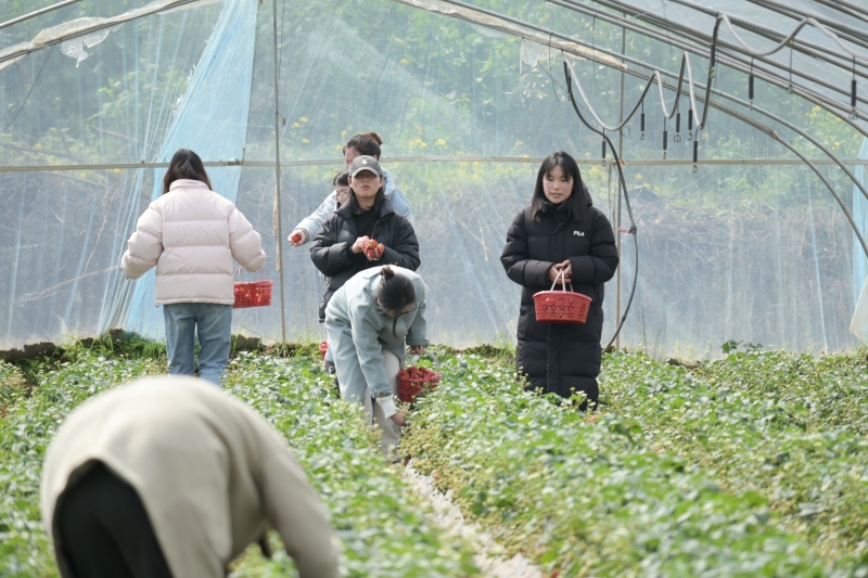 ˵: https://www.cqzhxy.cn/SITE_ATTACHE/www_cqzhxy_cn/2025-03-10/upload/image/20250310/1741594017082012346.jpg