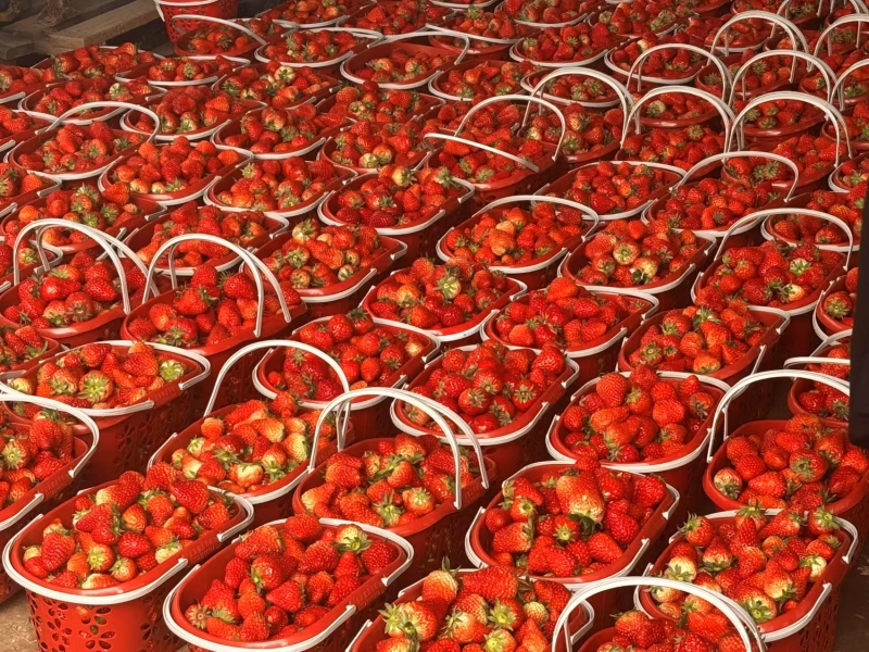 ˵: https://www.cqzhxy.cn/SITE_ATTACHE/www_cqzhxy_cn/2025-03-10/upload/image/20250310/1741594031810078191.jpg