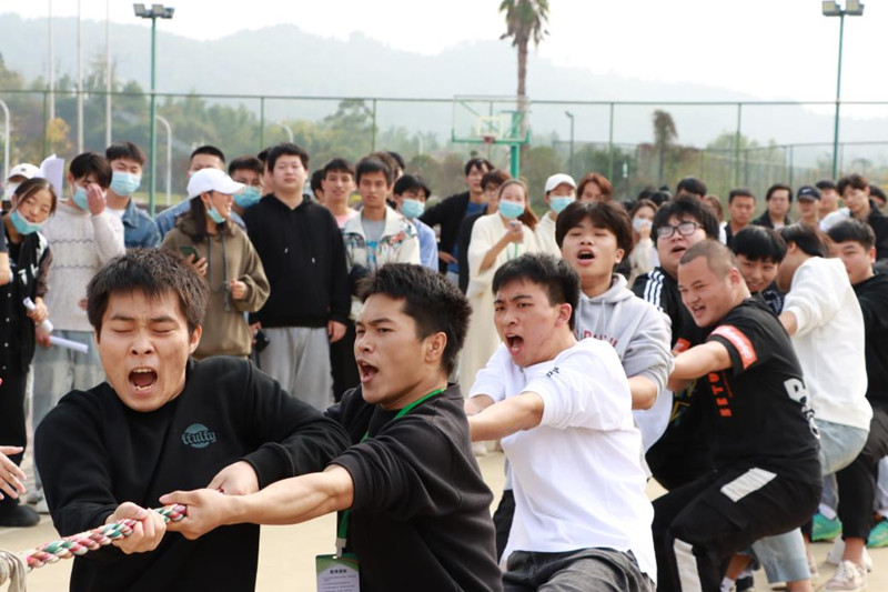 1669645874183096127.jpg 图片4_副本.jpg