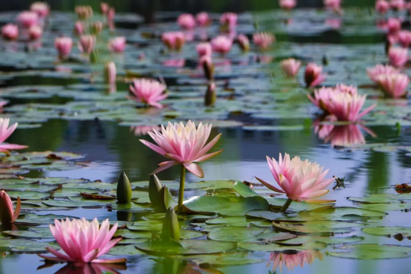 ˵: https://www.cqzhxy.cn/SITE_ATTACHE/www_cqzhxy_cn/2025-03-18/upload/image/20250318/1742263601893084920.bmp